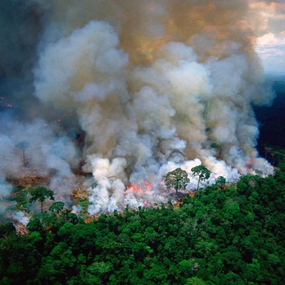 Jackson Harriesさんのインスタグラム写真 - (Jackson HarriesInstagram)「The lungs of the planet are on fire right now!! 🔥 🚨 The Amazon rainforest has been burning for weeks but has received almost no news coverage. When Notre-Dame burnt, billionaires and politicians emptied their pockets but when the most important ecosystem on earth is on fire we turn a blind eye. The world’s greatest cathedral is burning and there’s no rebuilding this one!!! 😢 Please help spread awareness. #prayforamazonia First 📷 by @mohsinkazmitakespictures」8月22日 4時07分 - jackharries