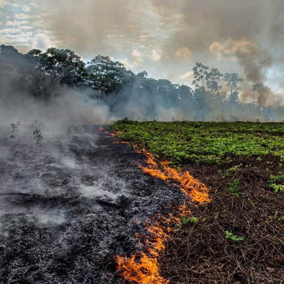 Jackson Harriesさんのインスタグラム写真 - (Jackson HarriesInstagram)「The lungs of the planet are on fire right now!! 🔥 🚨 The Amazon rainforest has been burning for weeks but has received almost no news coverage. When Notre-Dame burnt, billionaires and politicians emptied their pockets but when the most important ecosystem on earth is on fire we turn a blind eye. The world’s greatest cathedral is burning and there’s no rebuilding this one!!! 😢 Please help spread awareness. #prayforamazonia First 📷 by @mohsinkazmitakespictures」8月22日 4時07分 - jackharries