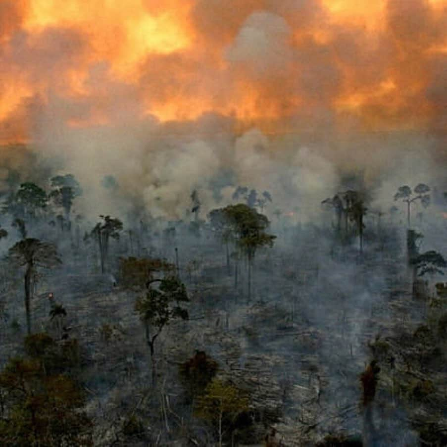 Jackson Harriesさんのインスタグラム写真 - (Jackson HarriesInstagram)「The lungs of the planet are on fire right now!! 🔥 🚨 The Amazon rainforest has been burning for weeks but has received almost no news coverage. When Notre-Dame burnt, billionaires and politicians emptied their pockets but when the most important ecosystem on earth is on fire we turn a blind eye. The world’s greatest cathedral is burning and there’s no rebuilding this one!!! 😢 Please help spread awareness. #prayforamazonia First 📷 by @mohsinkazmitakespictures」8月22日 4時07分 - jackharries