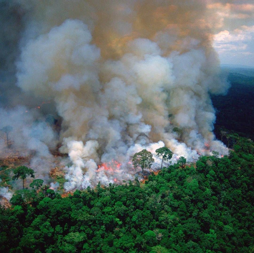 キャメロン・ラッセルさんのインスタグラム写真 - (キャメロン・ラッセルInstagram)「#Repost @rainforestalliance ・・・ #Repost @rainforestalliance ・・・ The lungs of the Earth are in flames. 🔥 The Brazilian Amazon—home to 1 million Indigenous people and 3 million species—has been burning for more than two weeks straight. There have been 74,000 fires in the Brazilian Amazon since the beginning of this year—a staggering 84% increase over the same period last year (National Institute for Space Research, Brazil). Scientists and conservationists attribute the accelerating deforestation to President Jair Bolsonaro, who issued an open invitation to loggers and farmers to clear the land after taking office in January.⁣ ⁣ The largest rainforest in the world is a critical piece of the global climate solution. Without the Amazon, we cannot keep the Earth’s warming in check. ⁣ ⁣ The Amazon needs more than our prayers. So what can YOU do?⁣ ⁣ ✔ As an emergency response, donate to frontline Amazon groups working to defend the forest like @guajajarasonia @socioambiental @coiabamazonia @greenpeacebrasil LINK IN BIO TO DONATE ✔ Consider becoming a regular supporter of the Rainforest Alliance’s community forestry initiatives across the world’s most vulnerable tropical forests, including the Amazon; this approach is by far the most effective defense against deforestation and natural forest fires, but it requires deep, long-term collaboration between the communities and the public and private sectors. ✔ Stay on top of this story and keep sharing posts, tagging news agencies and influencers. ⁣ ✔ Be a conscious consumer, taking care to support companies committed to responsible supply chains.⁣ ✔ When election time comes, VOTE for leaders who understand the urgency of our climate crisis and are willing to take bold action—including strong governance and forward-thinking policy.⁣ ⁣ #RainforestAlliance #SaveTheAmazon #PrayForAmazonia #AmazonRainforest #ActOnClimate #ForestsResist #ClimateCrisis 📸: @mohsinkazmitakespictures / Windy.com」8月22日 3時07分 - cameronrussell