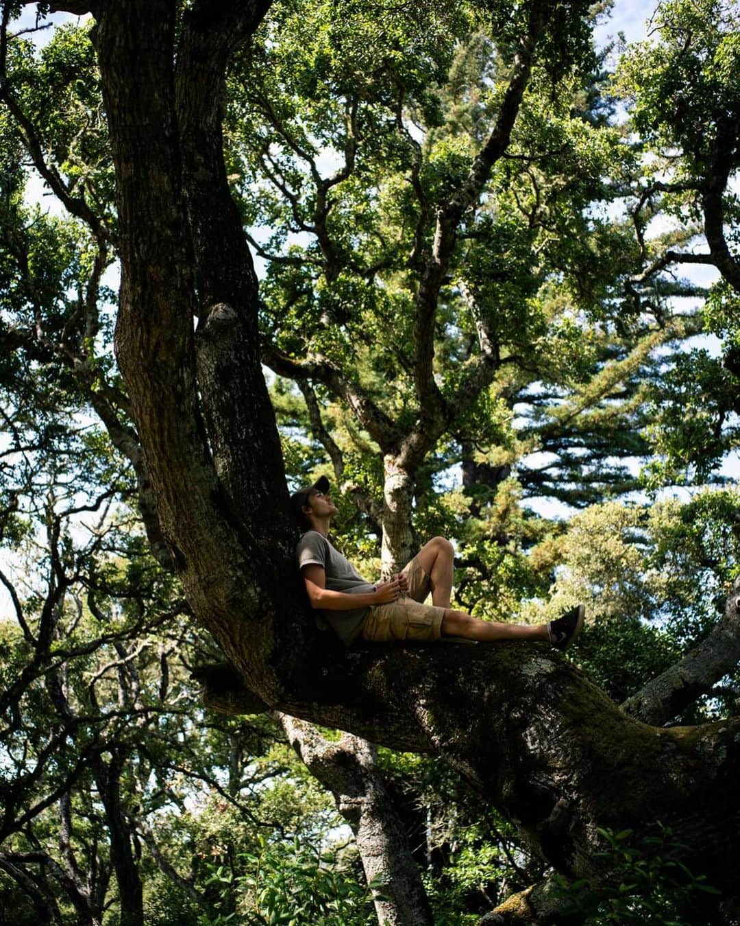 Jackson Harriesさんのインスタグラム写真 - (Jackson HarriesInstagram)「For the past two weeks I’ve enjoyed discovering old growth forests, misty coastlines, abundant waterfalls and ice cold lakes of the West Coast of the States. So much nature to explore and lots to learn here.🌲🌿🍃 Thanks to @unmind__ and @samgarrettmusic for being our guides. 📷: @aliceaedy」8月22日 3時18分 - jackharries