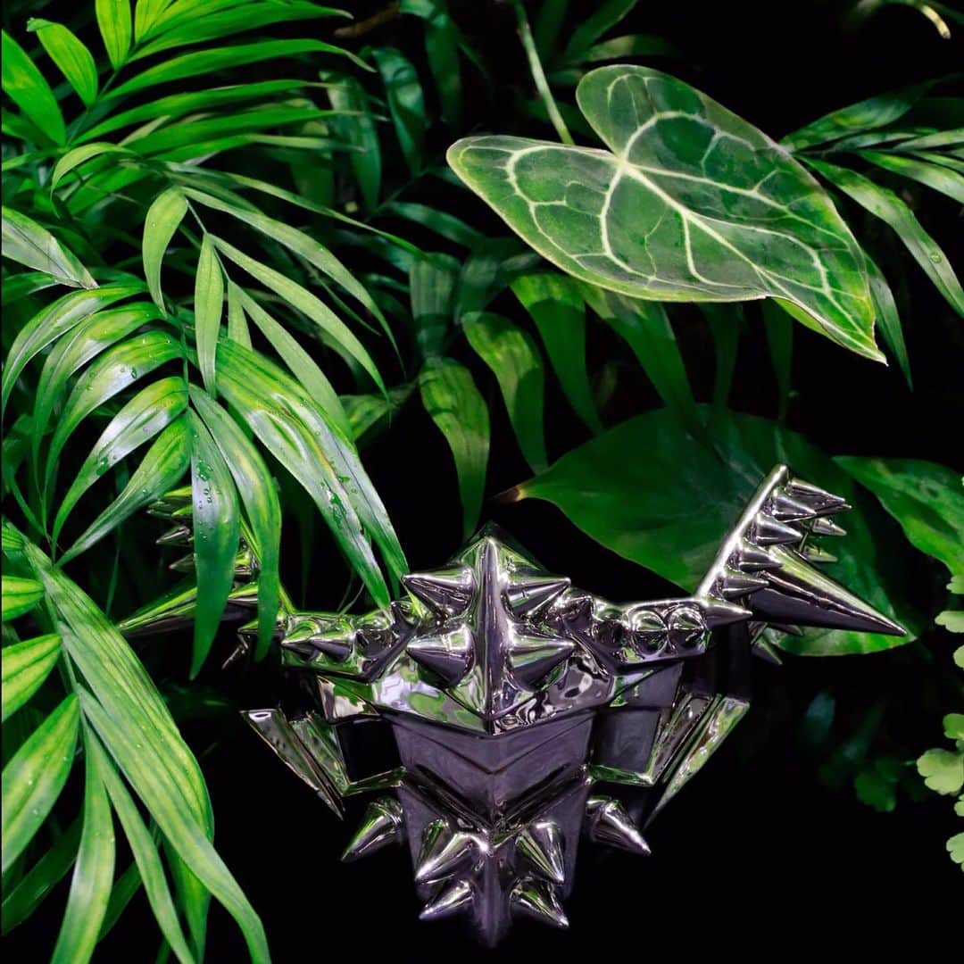 コスチュームナショナルのグルメインスタ