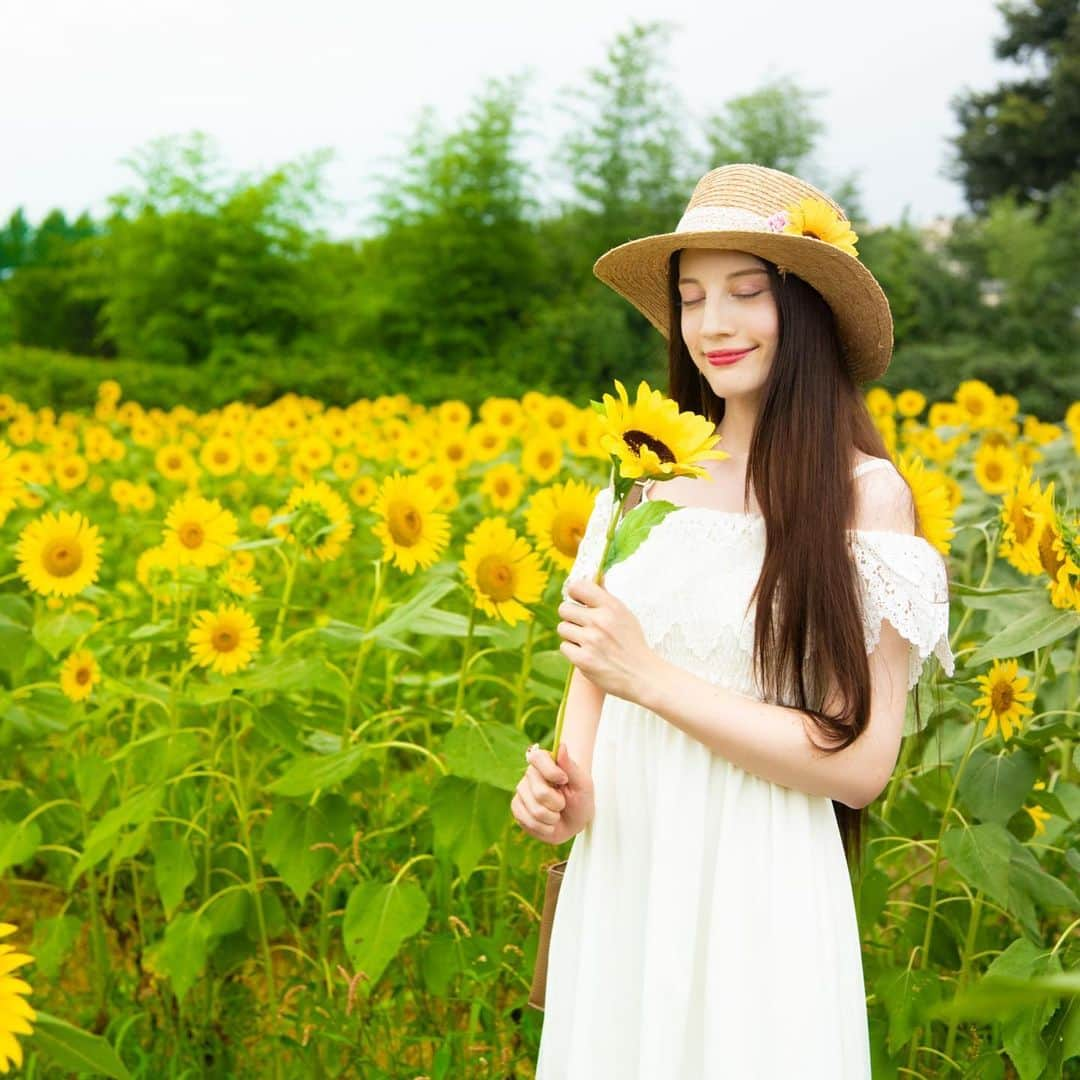 大濠ハンナさんのインスタグラム写真 - (大濠ハンナInstagram)「ひまわり畑でとっても素敵に写真撮ってもらったっちゃん🌻🌞🌻✨ 途中いきなり雨降ってきたりしたけどひまわりが笑っとったけん楽しかったあ〜😊ニコニコ  #ひまわり畑 #向日葵 #ひまわり」8月21日 19時23分 - hannaoohori