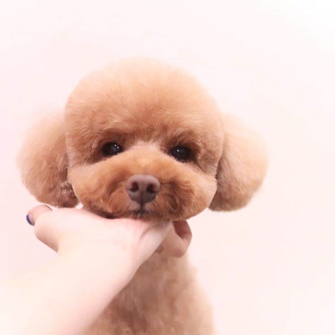 keikobun34のインスタグラム