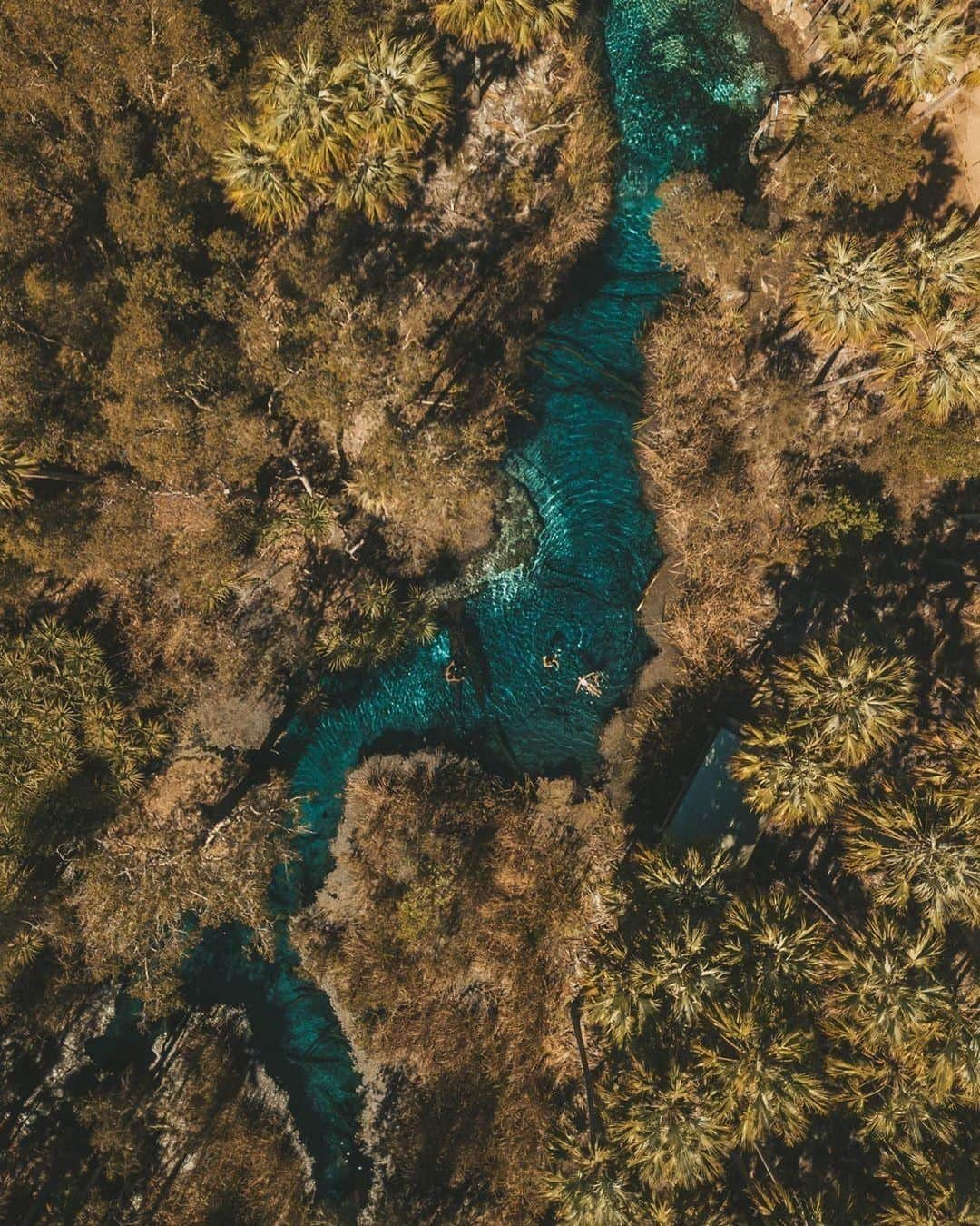 Australiaさんのインスタグラム写真 - (AustraliaInstagram)「Jump in for a free ride at @ntaustralia’s #BitterSprings. 💦 @justinschryver hopped aboard the gentle current down this stream of warm, thermal-fed waters inside #ElseyNationalPark, which is one of many amazing (and completely free!) natural spas in @tourismtopend. It’s pretty hard to leave this fun spot once you get started, so definitely stay a few nights at the local caravan park. Check out the scenic bushwalking trails in the park and the nearby #MatarankaThermalPool while you’re here.  #seeaustralia #NTAustralia #tourismtopend #thegreatoutdoors #travel」8月21日 20時00分 - australia