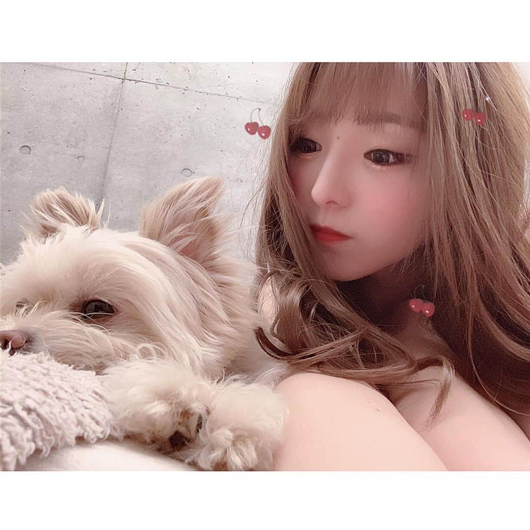 輝月あんりのインスタグラム：「🐶💗👧 #dayoff #my #dog #angel」