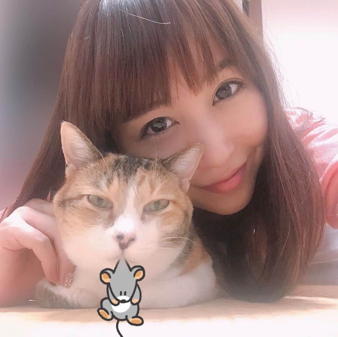 長久梨那さんのインスタグラム写真 - (長久梨那Instagram)「． 特技はねずみ捕り🐭 ちーたんです🐱✨ ‪お鼻にはミッキーマウス、お口にはマウス🐭‬ ‪でも本当はお魚さんが好き🐟‬ ‪#リトルマーメイド  予約するにゃ🐱🍴‬ https://www.quartet-online.net/ticket/little?m=0ncffie ‪#舞台 #ミュージカル #女優 #バレエ #バレリーナ #ダンス #ダンサー #猫 #三毛猫 #ちくわ お鼻に #隠れミッキー #ミッキー #ミッキーマウス #SNOW #ねずみ #自撮り #セルフィー #フォローミー #cat #musical #actress #ballet #ballerina #nose #micky #mickymouse #mouse #selfie #followme」8月21日 21時00分 - rinanagahisa