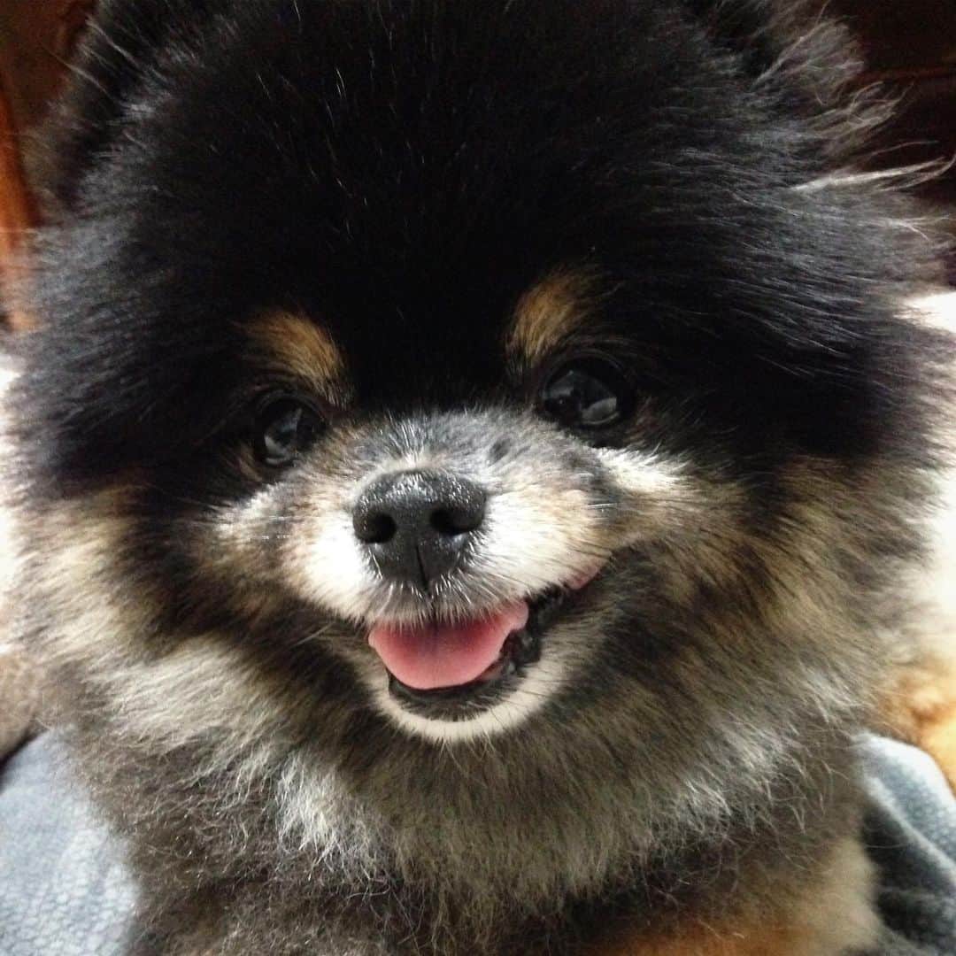 リジ のインスタグラム：「🖤5959 우리 짜장이🖤」