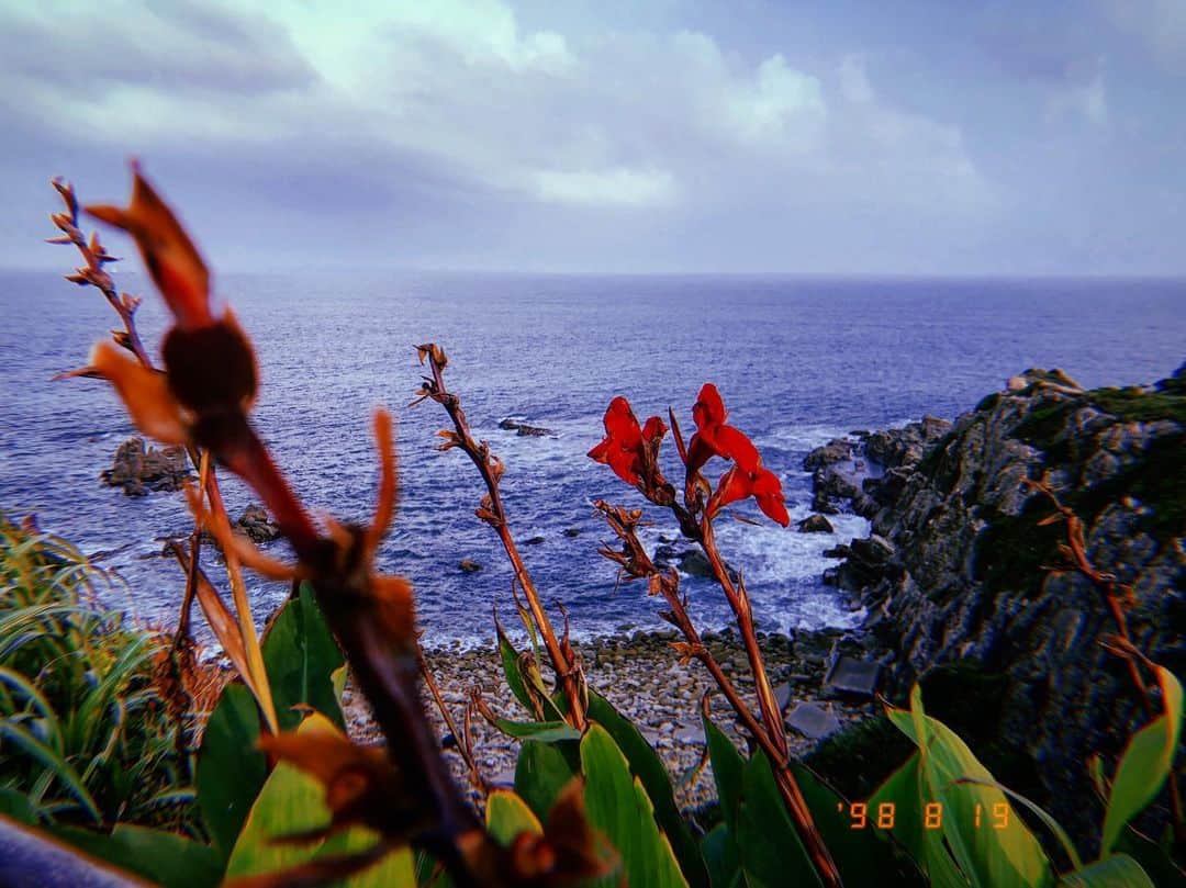 Uさんのインスタグラム写真 - (UInstagram)「好きな場所、時間、空間 Favorite place, time, space 🎨🌹🍦🌊📸😎🦁 #art #nature #icecream #flower#sea#overseas#place#time #Likes#mylife#photoart #uphoto#uart #ust」8月21日 21時31分 - u_antime_