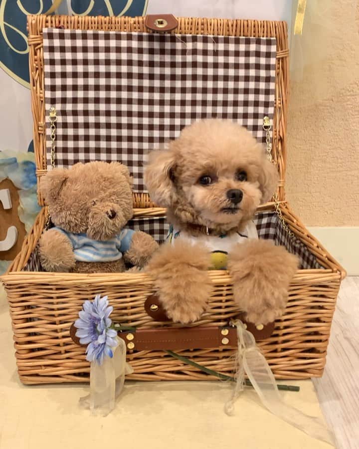 ❤︎Till❤︎のグルメインスタ