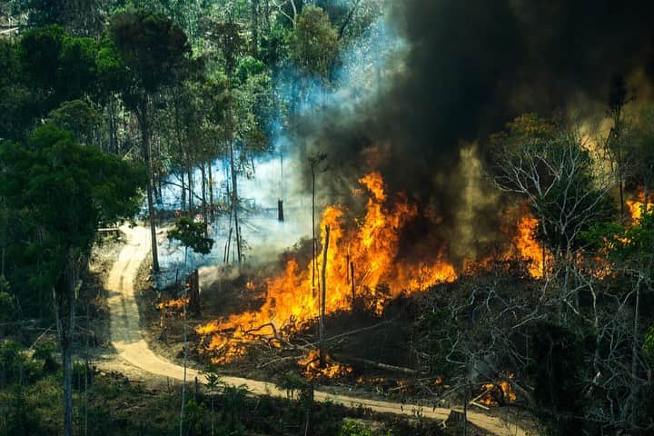 Discover Earthさんのインスタグラム写真 - (Discover EarthInstagram)「The Amazon Forest has been burning for 3 weeks and nobody is saying a word... It is one of the largest rainforest in the world, and also one of the wettest places on Earth. 💧 ⠀⠀⠀⠀⠀⠀⠀⠀⠀ Siberia, one of the coldest places on Earth, is also on fire. ❄️ ⠀⠀⠀⠀⠀⠀⠀⠀⠀ ⠀⠀⠀⠀⠀⠀⠀⠀⠀ That aint normal. ⠀⠀⠀⠀⠀⠀⠀⠀⠀ ⠀⠀⠀⠀⠀⠀⠀⠀⠀ Climate change is for real and our planet is burning up. Humans are the cause of this deadly fever. ‪#PrayforAmazonia‬ #PrayforSiberia ⠀⠀⠀⠀⠀⠀⠀⠀⠀ ⠀⠀⠀⠀⠀⠀⠀⠀⠀ 📸 1, 2 and 3: Daniel Beltrá / Greenpeace 📸 4: Rodrigo Baleia / Greenpeace 📸 5: Rogério Assis / Greenpeace 📸 6: Lunae Parracho / Greenpeace」8月21日 21時51分 - discoverearth