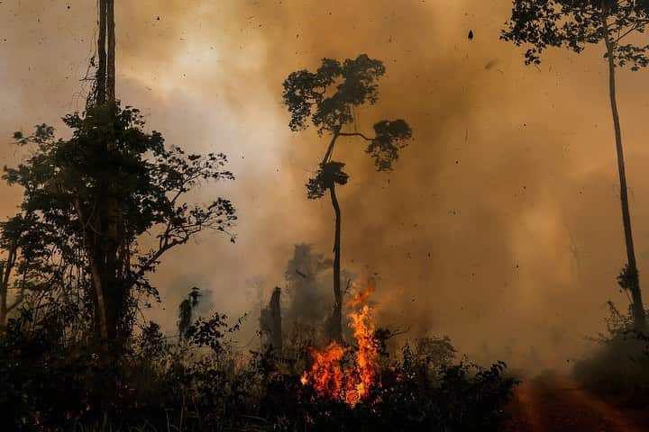 Discover Earthさんのインスタグラム写真 - (Discover EarthInstagram)「The Amazon Forest has been burning for 3 weeks and nobody is saying a word... It is one of the largest rainforest in the world, and also one of the wettest places on Earth. 💧 ⠀⠀⠀⠀⠀⠀⠀⠀⠀ Siberia, one of the coldest places on Earth, is also on fire. ❄️ ⠀⠀⠀⠀⠀⠀⠀⠀⠀ ⠀⠀⠀⠀⠀⠀⠀⠀⠀ That aint normal. ⠀⠀⠀⠀⠀⠀⠀⠀⠀ ⠀⠀⠀⠀⠀⠀⠀⠀⠀ Climate change is for real and our planet is burning up. Humans are the cause of this deadly fever. ‪#PrayforAmazonia‬ #PrayforSiberia ⠀⠀⠀⠀⠀⠀⠀⠀⠀ ⠀⠀⠀⠀⠀⠀⠀⠀⠀ 📸 1, 2 and 3: Daniel Beltrá / Greenpeace 📸 4: Rodrigo Baleia / Greenpeace 📸 5: Rogério Assis / Greenpeace 📸 6: Lunae Parracho / Greenpeace」8月21日 21時51分 - discoverearth