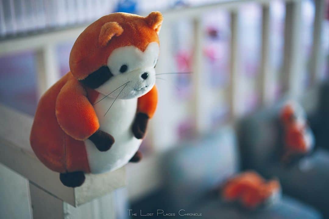 啝 （わ）のインスタグラム：「Abandoned Rascal(s) 𓆲 𓆲 𓆲 #廃墟 #Abandoned #AbandoniG #allabandoned #abandonedworld #Abandonedafterdark #abandoned_addiction #abandoned_greece #abandon_seekers_ #Abandoned_Excellence #abandonedcentral #beAlpha #discarded_butnot_forgotten #DECAY_iLLife #desertedplaces #ethereal_moods #grime_nation #grime_reapers #GoTrespassing #ig_urbex #Itsabandoned #KINGS_ABANDONED #renegade_abandoned #sombrexplore #urbex_supreme #urbex_regards #urbexplaces #urbex_disciple #urbex_utopia  #japan_urbex」
