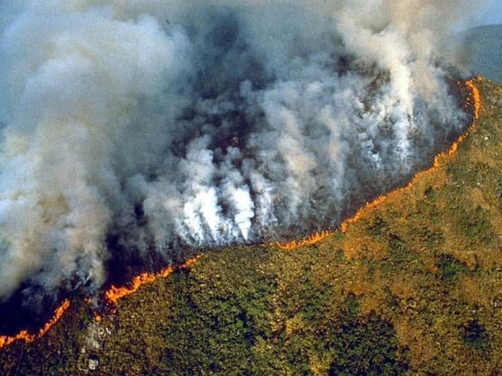 クリス・ウェビーさんのインスタグラム写真 - (クリス・ウェビーInstagram)「The Amazon is rapidly burning to the ground. Siberia is rapidly burning to the ground. The Canary Islands, Alaska, and Greenland are also on fire. That’s both tropical and polar ecosystems. Climate change is real, and if you think otherwise you’re slowing down our collective consciousness. World leaders ignoring, covering up, or worsening this issue should be tried for crimes against humanity. Our planet is literally on fire at this point, this is an emergency 🌎🕸」8月21日 22時34分 - chriswebby