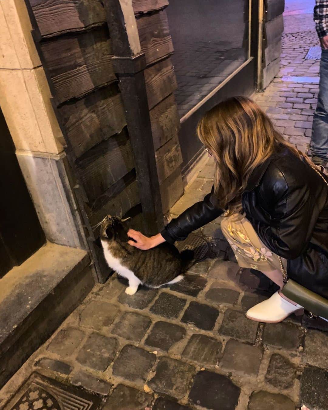 デビー・ライアンのインスタグラム：「found a cat, ten points」