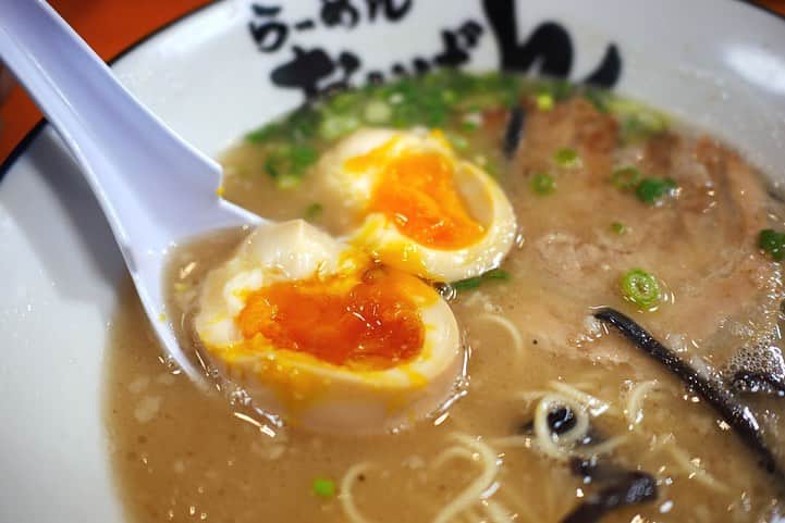 福岡グルメ 福岡ランチ「デビログ」さんのインスタグラム写真 - (福岡グルメ 福岡ランチ「デビログ」Instagram)「警固にある『#おいげん 』の「#豚骨らーめん 」600円・税込で〆✌️ いつもはバリカタでお願いするのだが、このお店ではバリカタがどうも合わない気がして、いろいろと試してみた。 無理を言って「豚骨らーめん」に「醤油ラーメン」用の中華麺でも食べてみたが、やっぱり「豚骨らーめん」の麺の「やわ麺」が一番しっくりきたよ🙆‍♂️ 店員さんにも聞いてみたが”やわ麺派”が多かったので妙に納得してしまった😊 プラス100円でトッピングできる「煮玉子」はやっぱり外せない。 販売機の写真のように最初から玉子を割って提供してくれると嬉しいんやけどねぇ～ 次回は煮玉子は割ってくださいとお願いしてみよう～😄 . 他pic、内観などは「デビログ」に掲載しています。 サイトを見る場合はブラウザで「デビログ」で検索👉 . #らーめんおいげん #福岡市中央区警固 1-13-1 ARK警固1F 092-714-1433 11:30～16:00 18:00〜4:00 日曜日定休 . ♦️福岡グルメ 福岡ランチを検索できるブログ は「デビログ」で検索👉 ♦️マニアックな情報や本当に美味しいお店情報なら「もっとデビログ」で検索👉 . #警固グルメ #警固ランチ #福岡ラーメン #福岡とんこつラーメン #福岡豚骨ラーメン #警固 #福岡 #博多 #fukuokapics #fukuoka #fukuokacity #hakata #fukuokarestaurant #fukuokagourmet #IGersJP #ig_japan #福岡レストラン #福岡飲食店 #福岡グルメ #福岡ランチ #福岡ごはん #福岡ご飯 #食べログ福岡 #福岡飯 #福岡食べ歩き」8月21日 22時54分 - devi_takahashi