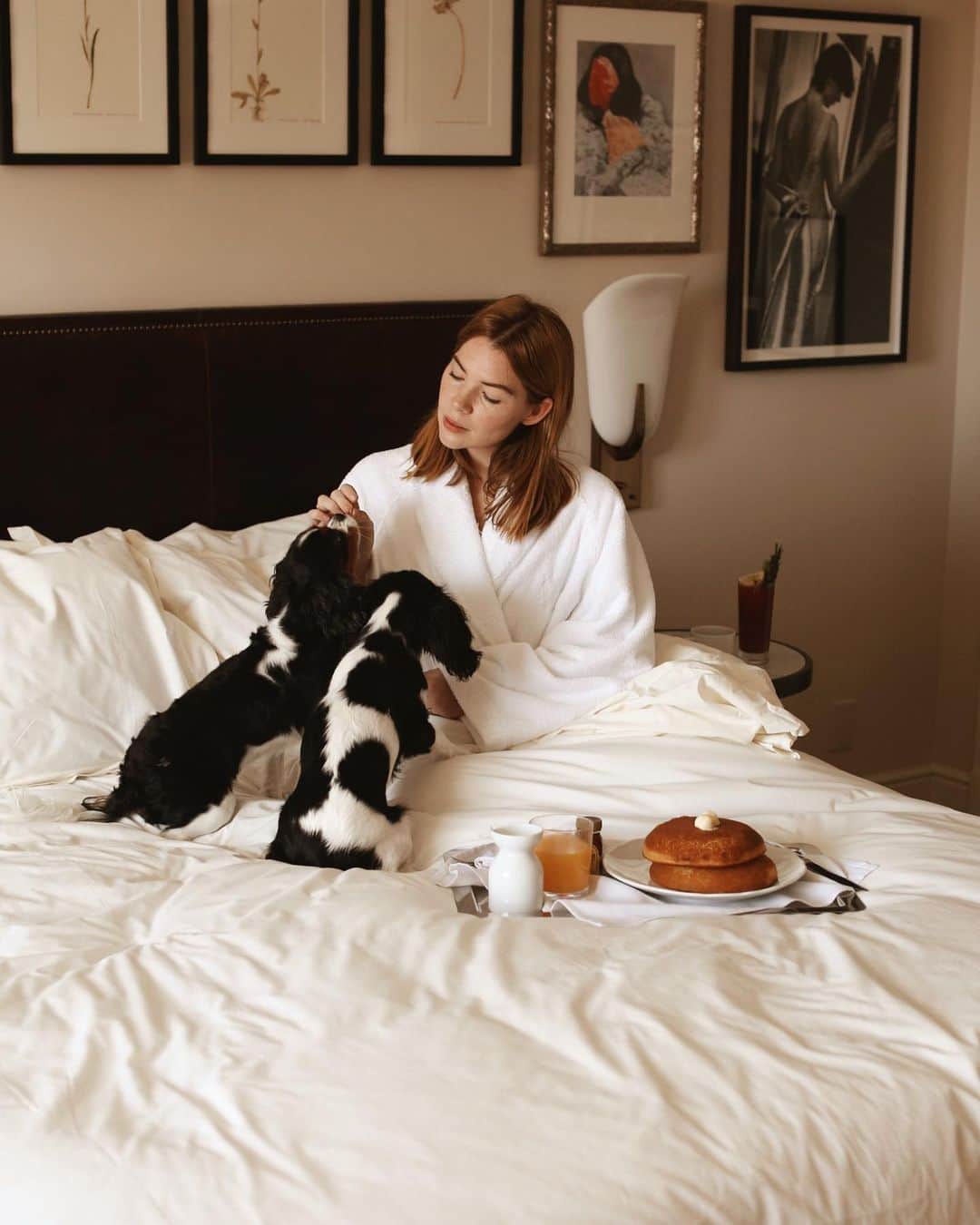 コートニー・ハルヴァーソンさんのインスタグラム写真 - (コートニー・ハルヴァーソンInstagram)「Pancakes and puppies at @thenomadhotel. 🥞 Just an FYI that my favorite hotel is pet-friendly, and really, who wouldn’t want to wake up like this?  PS : thank you for letting my borrow these two lovely ladies to help spread the word. 🐶 #ad #thenomadhotellv #puppies」8月21日 23時07分 - prettylittlefawn