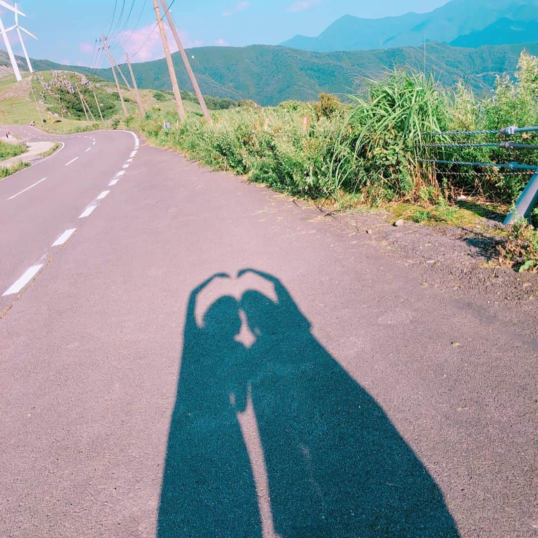 近野成美さんのインスタグラム写真 - (近野成美Instagram)「夏の思い出♪ 四国カルスト🌿 青空がとても綺麗でした😊  #高原 #青空 #愛媛 #高知 #のんびり牛🐄  #たまたまいた犬が可愛かった🐶✨」8月21日 23時08分 - konnsaaan