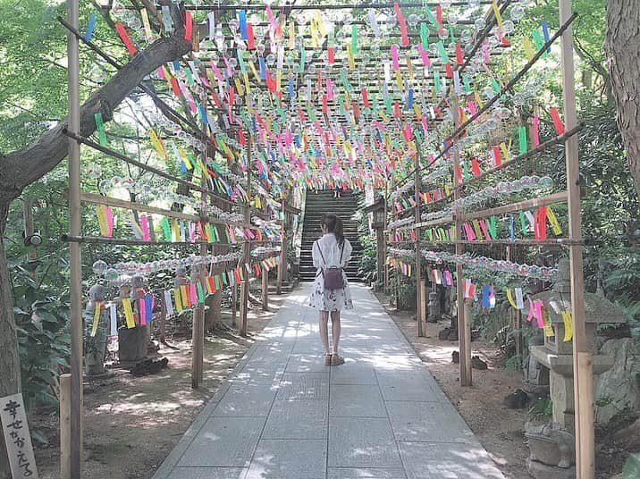 のインスタグラム：「❤︎*。 . . . 風鈴の音って、夏って感じ🎐💕 . . . #如意輪寺 #如意輪寺かえる寺 #かえる寺  #寺 #風鈴祭り #風鈴まつり #風鈴 #福岡  #福岡旅行 #福岡観光 #小郡 #小郡市 #旅  #dela #あいちん #秋波愛 🐇🎀」