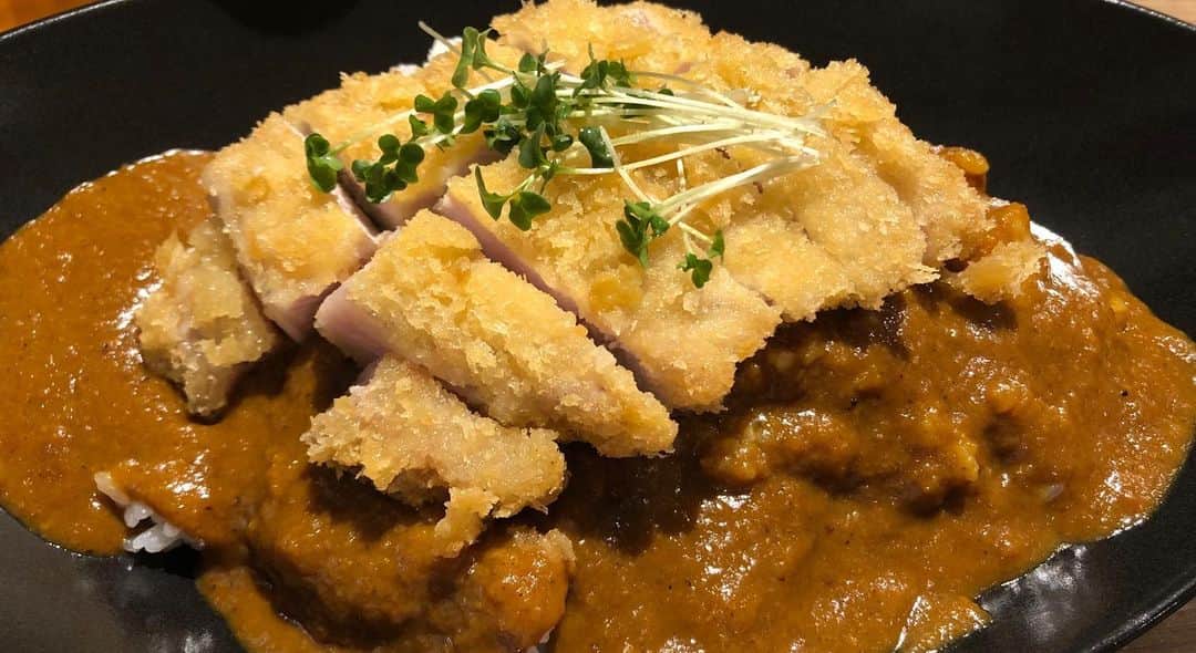カバのインスタグラム：「‪本日のでぶ活。‬ ‪西梅田劇場の近くにこんな美味しいカレー屋さんがあったとは！カレーも美味しいけど、とにかくカツが美味い！！このとんかつ定食が食べたい！！って思ってしまった！！西梅田付近に行かれる際は是非寄ってみて下さい！！今週はこんな感じでやらせてもろてます！！‬ ‪あぁ、痩せたい！‬ . #本日のでぶ活 #でぶ活 #梅田#ランチ#梅田ランチ#グルメ#グルメ好きな人と繋がりたい#アイロンヘッド#アイロンヘッド辻井に食べさせてあげたい #あぁ、痩せたい」