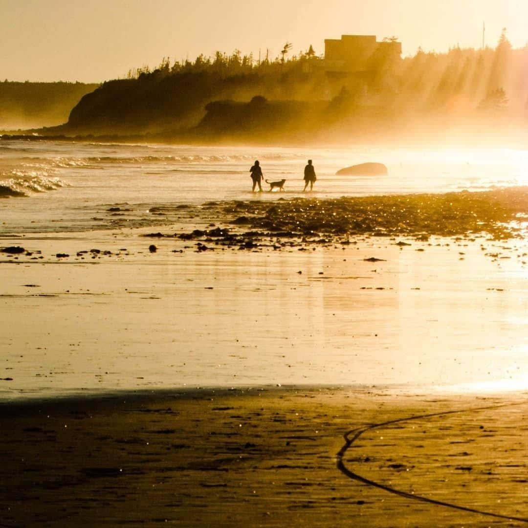 Explore Canadaさんのインスタグラム写真 - (Explore CanadaInstagram)「Golden hour in Nova Scotia really is something else, wouldn’t you agree?⁠ .⁠ Picnics and ball games on the beach are great, but did you know that Nova Scotia’s stunning coastline is also a popular place to hunt for gems and fossils? There are several engaging programs to get you and the family in on the action and living your best archaeologist life, including accompanying researchers from @fundygeological to their active Jurassic-age fossil dig, and learning how to dig for clams like a pro on a unique @memorylaneheritagevillage tour, led by a local fourth generation clam digger. Reach out to our friends @visitnovascotia for more information– happy hunting! #ExploreCanada⁠ ⁠ 📷: @pvcollinsphotos⁠ 📍: @visitnovascotia⁠ ⁠ #VisitNovaScotia」8月22日 0時00分 - explorecanada