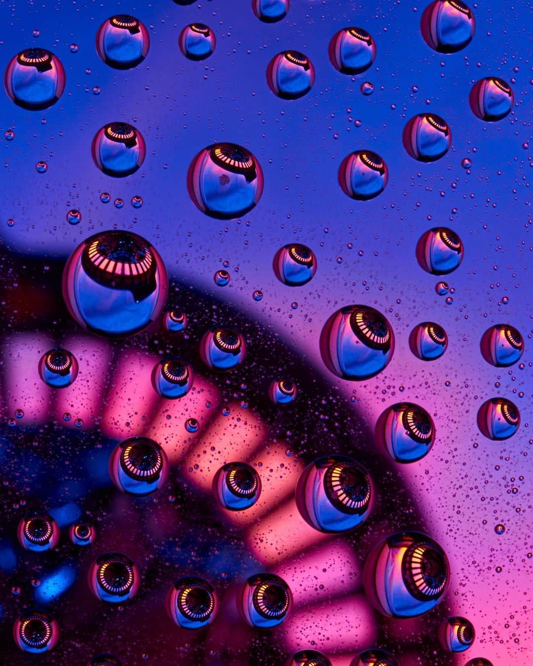 NikonUSAさんのインスタグラム写真 - (NikonUSAInstagram)「Want to challenge your photography with a new technique? Try photographing water droplets! 💧 #NikonAmbassador and editorial photographer @JoeyTerrill shows us how to master indoor #macrophotography, like this #D810 photo with the AF-S VR Micro-NIKKOR 105mm f/2.8G IF-ED lens. Learn how Joey sets up the shot by tapping the link in our bio. #macro #waterdroplets #NIKKOR」8月22日 0時20分 - nikonusa