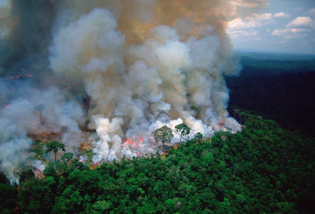 ミゲルさんのインスタグラム写真 - (ミゲルInstagram)「Don’t pray for Brazil or the Amazon. Pray for yourself . The amazon provides 20% of our oxygen every year and it’s  burning at a record rate right now and for the past 18/19 days. This is a WORLD emergency and affects all of our security. Please post and tag @unitednations .」8月22日 0時31分 - miguel