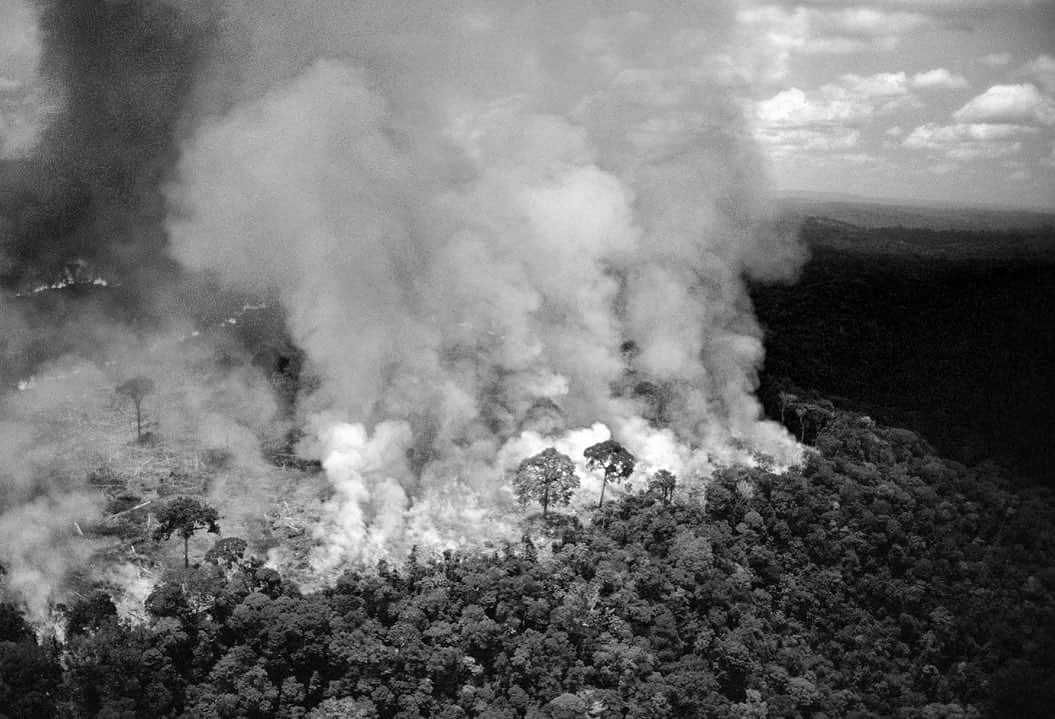 ミゲルさんのインスタグラム写真 - (ミゲルInstagram)「Don’t pray for Brazil or the Amazon. Pray for yourself . The amazon provides 20% of our oxygen every year and it’s  burning at a record rate right now and for the past 18/19 days. This is a WORLD emergency and affects all of our security. Please post and tag @unitednations .」8月22日 0時31分 - miguel