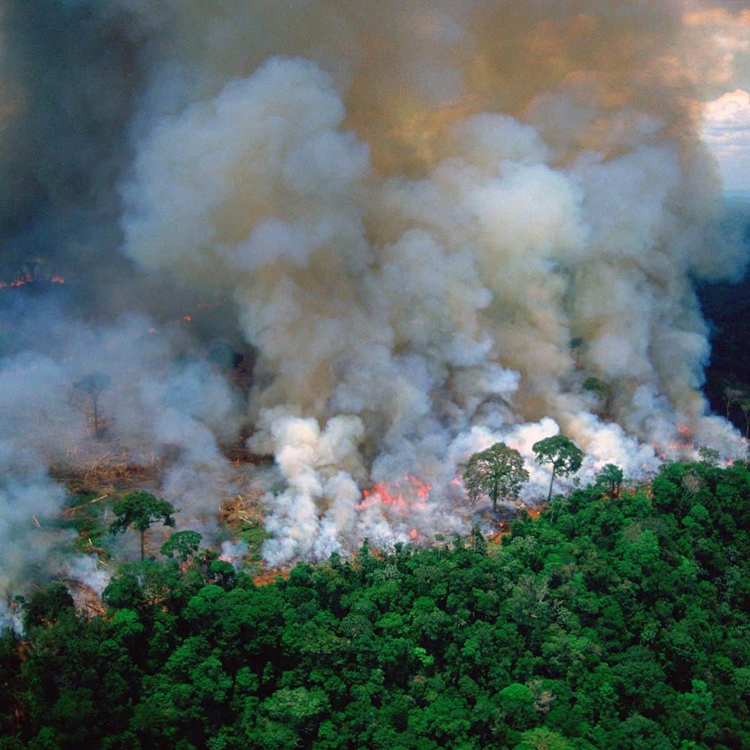 ミゲルさんのインスタグラム写真 - (ミゲルInstagram)「...And your children. And your children’s children. The amazon provides 20% of our oxygen every year and it’s  burning at a record rate right now and for the past 18/19 days. This is a WORLD Emergency and effects all of our security. Still, the media has not made this a priority. You can’t afford to ignore this. Please share this information and tag @unitednations @unitednationshumanrights」8月22日 0時43分 - miguel