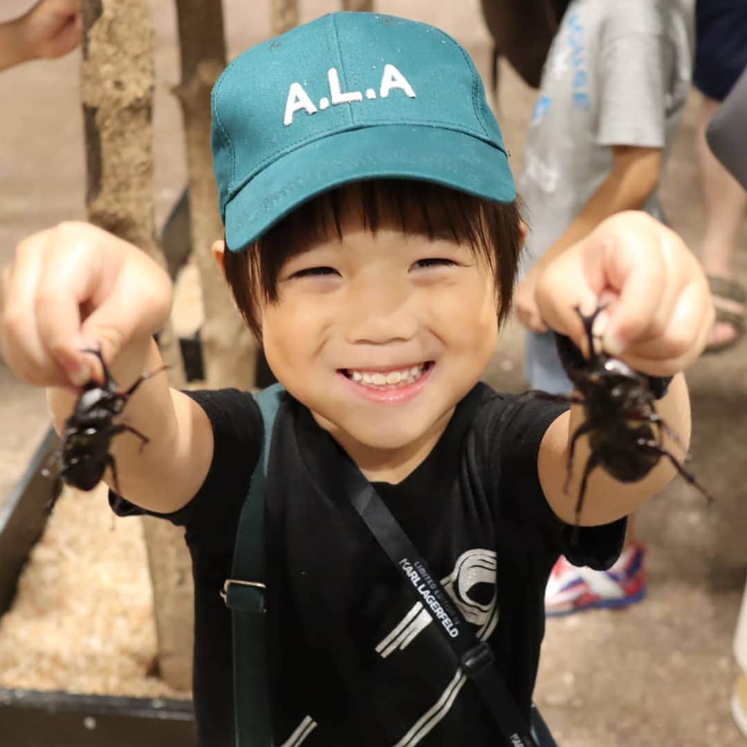 Eri Satoさんのインスタグラム写真 - (Eri SatoInstagram)「green×blackリンクコーデ · tops,skirt: @blancbasque bag: @accommode shoes: @outletshoes_official 👦 pants: @gu_for_all_ #スウェットイージーハーフパンツ cap:@pals.web bag: @buccomark shoes: @outletshoes_official · 色にひとめ惚れした #blancbasque のセットアップ✨ 薄手の綿シルクなので涼しい😘 · この日は娘が産まれて以来、初めて息子と二人でお出掛け！ @haruru0724 ちゃん親子と、#大昆虫展 へ 息子はカブトムシ触るの初めてだったんだけど意外と平気でびっくり！ 母達はダメです触れません🤣 でも楽しそうで良かった😂😂😂 最後の方のpicは息子がカブトムシ持ってるので閲覧注意😂 · #GUKIDS#GU#fashion#ootd#outfit#code#coordinate#stylepoint#instafashion#instagood#instalike#ファッション#コーディネート#コーデ#プチプラ#プチプラコーデ#ママコーデ#fashion#カジュアルコーデ#シンプルコーデ#シンプルファッション #親子リンクコーデ愛好家 #おしゃれさんと繋がりたい#おやこーで #おしゃれ好きな人と繋がりたい#ootd#スカイツリー#昆虫#ヘラクレスオオカブト」8月22日 1時40分 - satoeri626