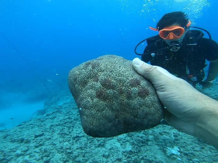 ロブ・モローのインスタグラム：「Diving on west side of #ohau #kapolei @tridentadventureshawaii @cbs_hawaii_five_0」