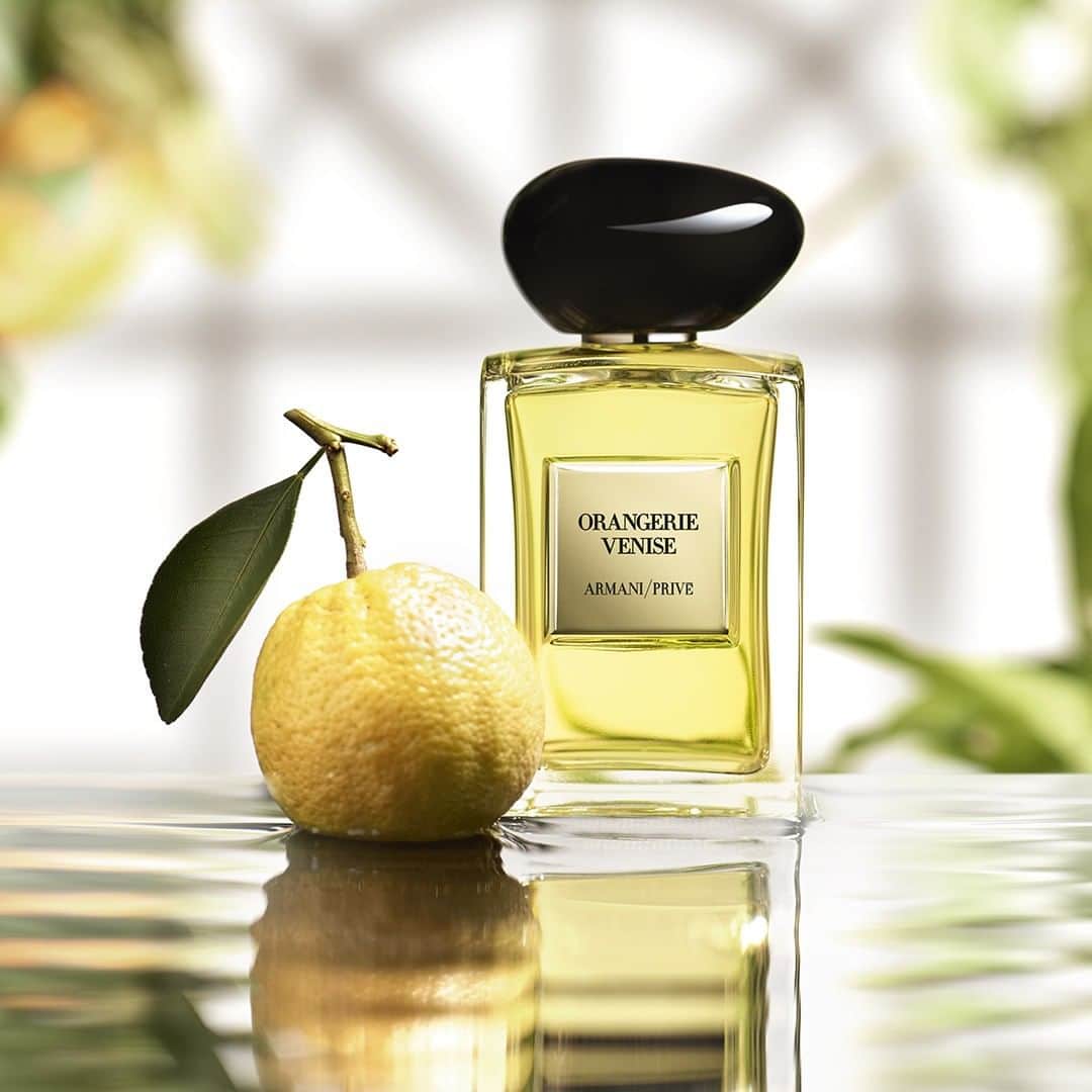 Armani Beautyさんのインスタグラム写真 - (Armani BeautyInstagram)「Armani/Privé ORANGERIE VENISE, as part of 'Les Eaux' collection, is an ode to the thriving nature and luxurious tranquility inside a famed Venetian greenhouse. #ArmaniBeauty #ArmaniPrive #HauteCoutureFragrances」8月22日 1時59分 - armanibeauty
