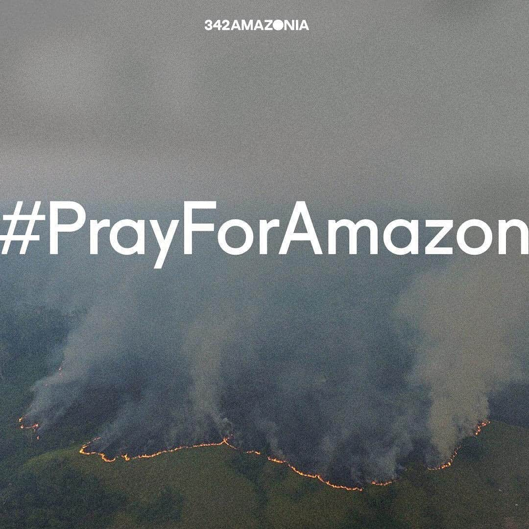 Tainá Müllerさんのインスタグラム写真 - (Tainá MüllerInstagram)「Quando nossos piores pesadelos viram realidade.  O país está em chamas e as consequências das queimadas nas regiões norte e centro-oeste já atingem quase todo país. As mudanças climáticas são uma realidade e a nossa maior riqueza está sendo destruída!  Se o governo terraplanista que não acredita em aquecimento global não liga pra essa hecatombe em curso, nós precisamos nos mobilizar pra que outros países do mundo não desistam da nossa Amazonia e façam algo urgentemente pelo futuro da vida na Terra.  #PrayForAmazon #342amazonia」8月22日 2時20分 - tainamuller