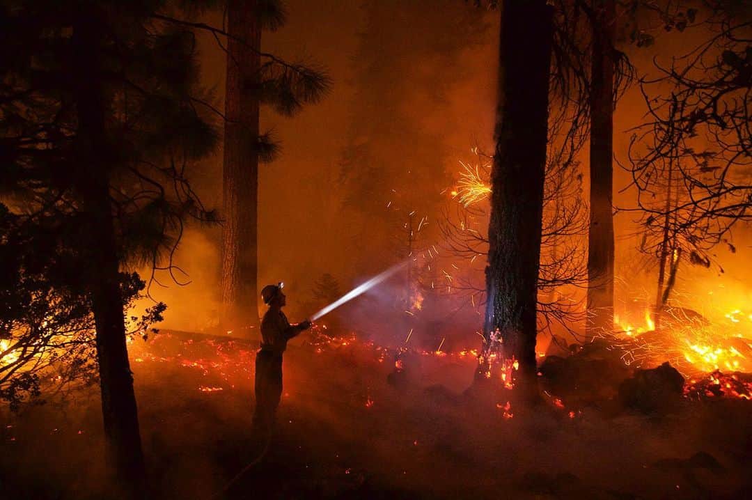 National Geographic Creativeさんのインスタグラム写真 - (National Geographic CreativeInstagram)「Photo by @thiessenphoto | A firefighter uses short bursts of water to cool down flames that climb trees in Hayfork, California. #Wildfire #California #Firefighter」8月22日 2時28分 - natgeointhefield