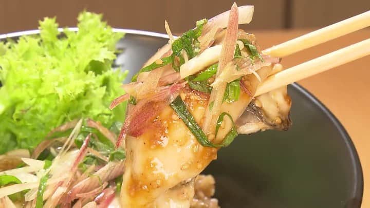 福岡放送「バリはやッ!」のグルメインスタ