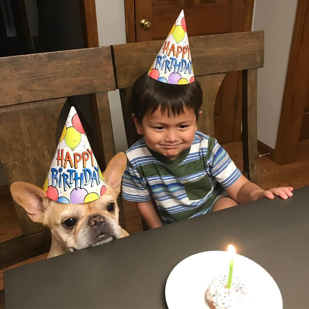 Hamlinさんのインスタグラム写真 - (HamlinInstagram)「Some post-birthday photo shenanigans with my not-so-little bro, @grayson_here. He was a sport and helped blow out the candle to commemorate the festivities. .......... #birthday #celebrate #brothers」8月22日 12時06分 - hamlin_the_frenchie