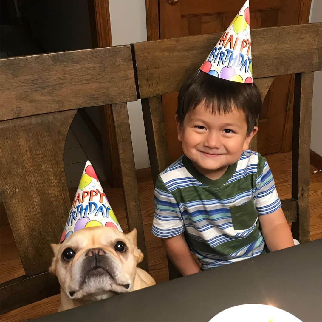 Hamlinさんのインスタグラム写真 - (HamlinInstagram)「Some post-birthday photo shenanigans with my not-so-little bro, @grayson_here. He was a sport and helped blow out the candle to commemorate the festivities. .......... #birthday #celebrate #brothers」8月22日 12時06分 - hamlin_the_frenchie