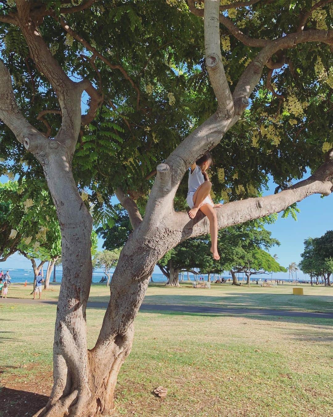 吉川ひなのさんのインスタグラム写真 - (吉川ひなのInstagram)「またこんなところでくつろいでる🌳  いいなー❤︎ ふたりとも裸足で気持ち良さそう👣  土とか木とか葉っぱの上を裸足で踏みしめるのは脳にもとってもいいし、体がぐんぐん元気になるよね😊  #娘HawaiiLife #木登りガール #🐒 #裸足育児」8月22日 13時02分 - hinanoyoshikawa