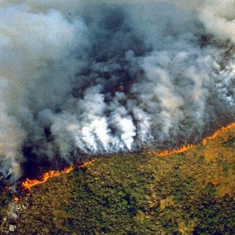 UlalaGirlさんのインスタグラム写真 - (UlalaGirlInstagram)「※I’m sorry some of pictures are not from Amazon.  The planet is not only for humans. It’s also animals home. Media hasn’t shared about Brazil’s Amazon rainforest has been burning for 3 weeks.  Amazon rainforest provides 20% of the world oxygen. This news won’t affect us? Because we are far away from this forest? It absolutely affect us indirectly. So why any media don’t talk about this? Probably something happen with politics. Humans sucks. We can’t make the earth angry anymore.  We need to face this big problem first. #TheEarthFirst . この地球は人間の為だけにあるんじゃない。動物や自然と共存すべき地球なんだ。 世界の20%の酸素はブラジルのアマゾンから作られている。なのにそのアマゾンが3週間も燃え続けている事をどのメディアも取り上げない。政治的理由があるんだと思う。そんなのはどうでもいいんだ。地球をこれ以上怒らせたら、もう私達は終わる。 どんなに今勉強していい大学に行って、いい会社に就職したって、地球が終われば、全部終わる。大量生産されてる洋服は、環境に悪い事はあからさま。  何が一番大事な問題なのか、お金を生み出す前に向き合う事はなんなのか、一人一人が考えなければ私達は皆んな一緒に終わる。 #TheEarthFirst #地球の事一番に考えよう  #prayforamazonia」8月22日 13時03分 - ulalagirl