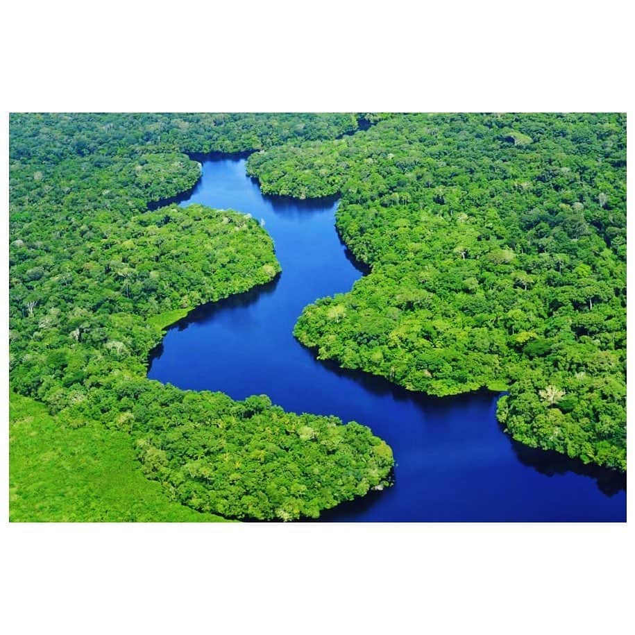 サーシャ・ピーターズのインスタグラム：「This is how you can help the Amazon.  Go to Amazonwatch.org rainforestwatchfoundation.org institutoterra.org  You can help raise awareness and make an impact from anywhere in the world.」