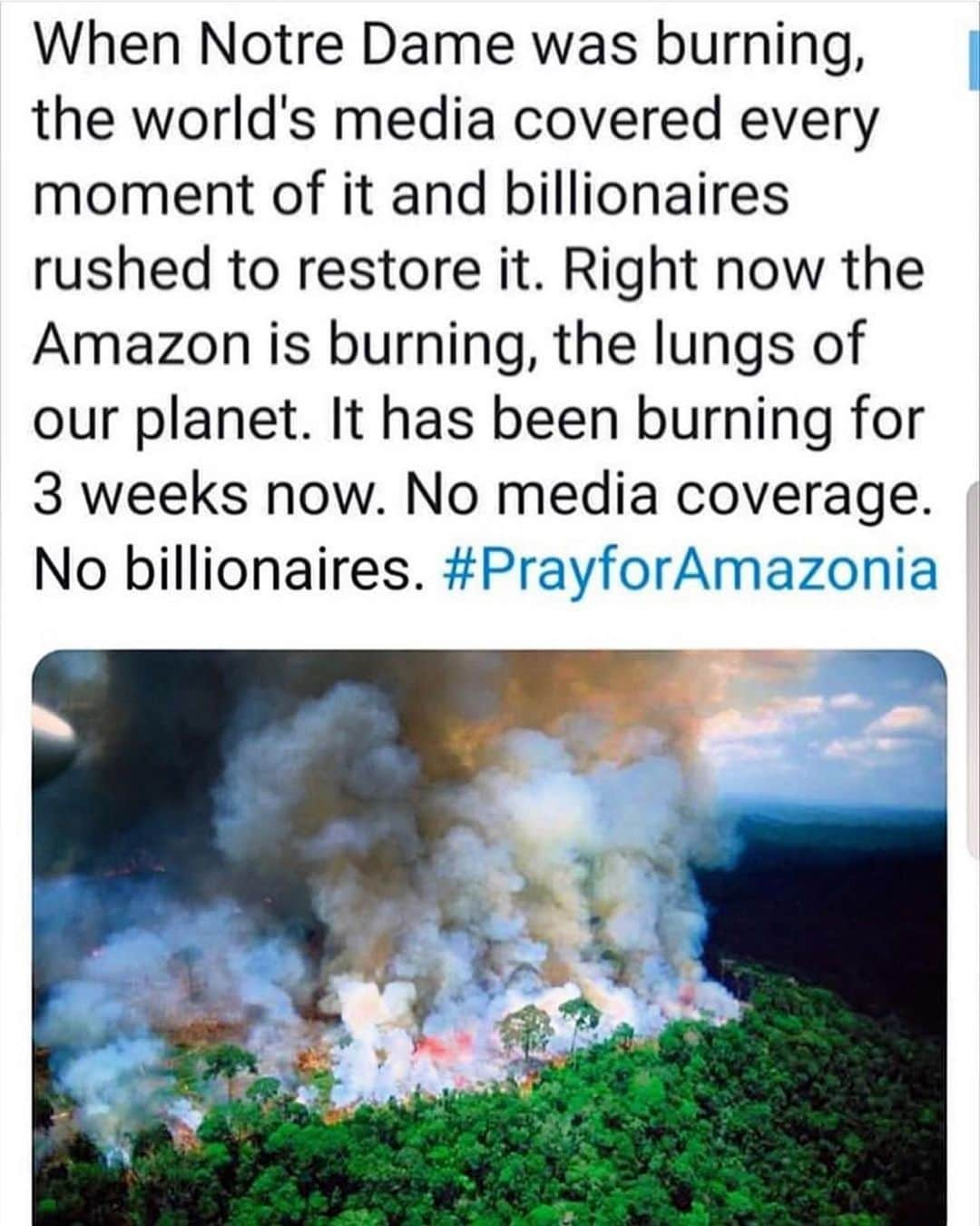 カルロッタ・オッディのインスタグラム：「🙏🏻 #prayforamazonia 😢 The Amazon is often referred to as the planet's lungs, producing 20% of the oxygen in the Earth's atmosphere. It is considered vital in slowing global warming, and it is home to uncountable species of fauna and flora. Roughly half the size of the United States, it is the largest rainforest on the planet.  Source @cnn」