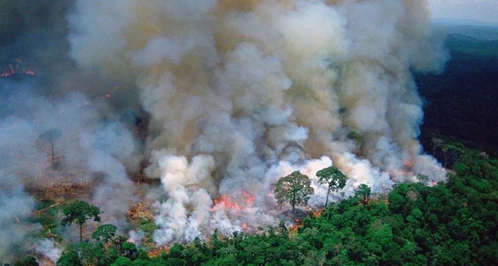 のインスタグラム：「The Amazon has been burning for over 2 weeks.  Brazil’s leaders are allowing people to set fire to the Amazon to make way for cattle farming.  The Amazon forest produces 20% of our planet’s oxygen for us to breathe in order for us to survive on this planet that is floating in the middle of space.  The fact that we are all able to live and survive here on this very unique planet is a miracle, and our trees play a huge role in making it possible for us.  I feel like the possibility of human life on this earth is becoming more and more precarious. “Though the Amazon rainforest has been fire-resistant for much of its history because of its natural moisture and humidity, drought and human activities are causing wildfires, according to NASA.” - No more deforestation - Eat less/no more meat - Consume less - Reuse more - Honor all forms of life on this planet 🌎」