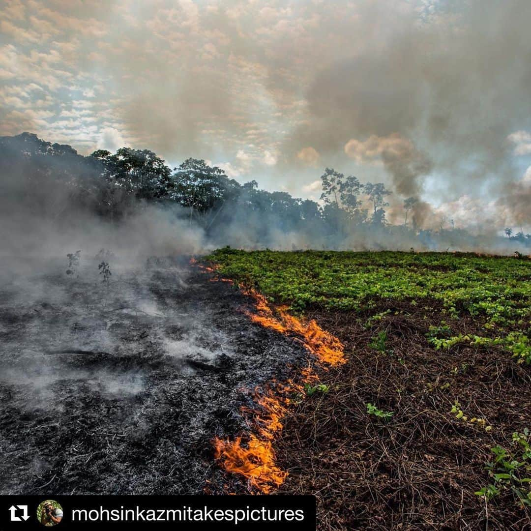 ギレルモ・ディアスさんのインスタグラム写真 - (ギレルモ・ディアスInstagram)「#Repost @mohsinkazmitakespictures with @get_repost ・・・ The Amazon Rainforest has been burning for three weeks. This is not a natural process. The lungs of the Earth are being engulfed by smoke all the while releasing MORE CO2 into the atmosphere. This forest has been a church for millions of years longer than some church in Paris and the death toll of this fire is already incalculable. Let’s stop feeding in to our anthropocentric values and start advocating for the types of things that benefit the planet we live on. Where’s the media coverage? We are running out of time.」8月22日 6時12分 - guillermodiazreal