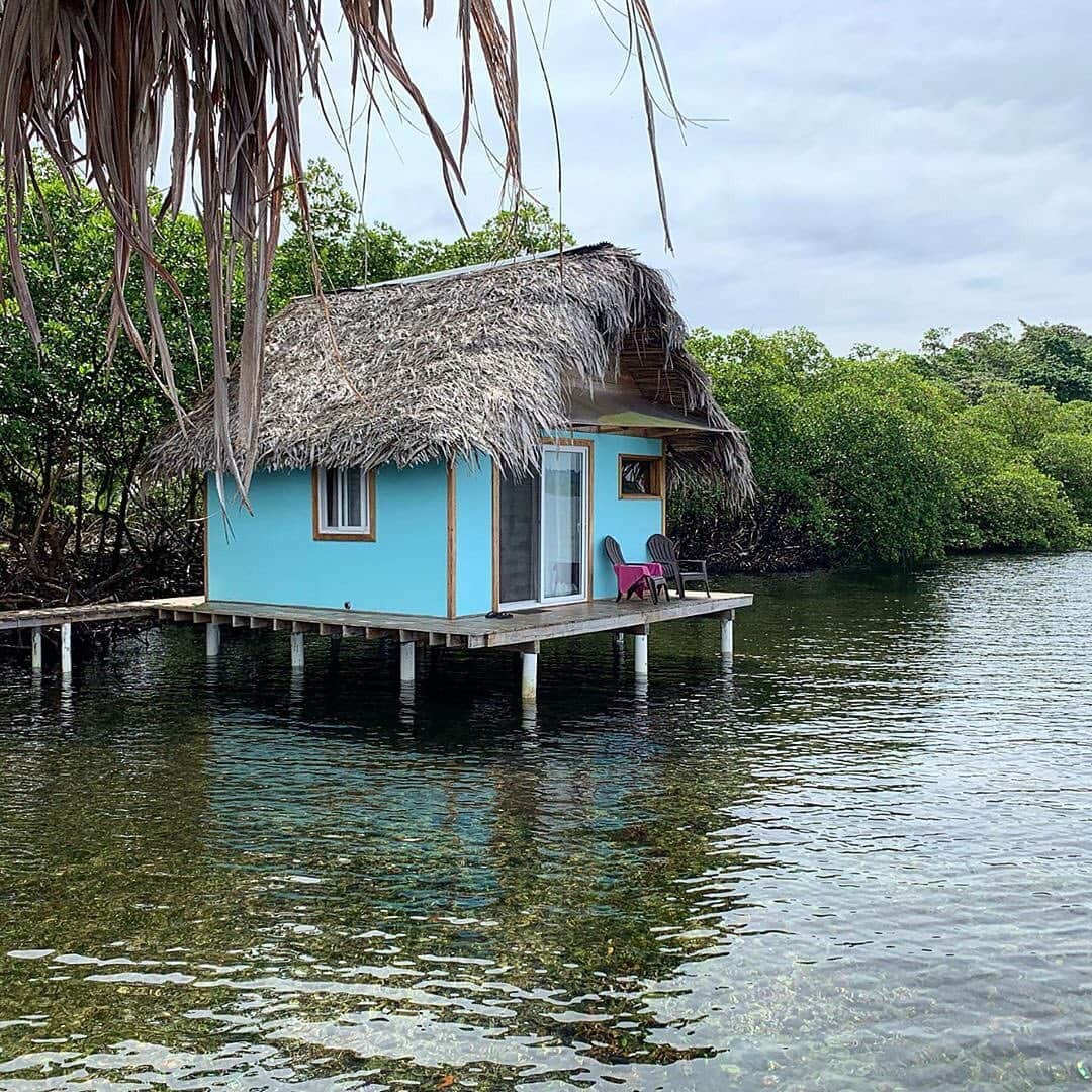 Airbnbさんのインスタグラム写真 - (AirbnbInstagram)「A half-hour boat ride takes you off the grid to this newly built hut on Isla San Cristobal. Snorkel the reef right outside your door or explore the island by kayak or paddleboard. If you’re lucky, you’ll see dolphins and rays from your front porch. If you’re not, you can always take a side trip to Dolphin Bay. But that’s a pretty loose definition of “unlucky.” ⁣ ⁣ Photo: @thea__doro」8月22日 6時24分 - airbnb