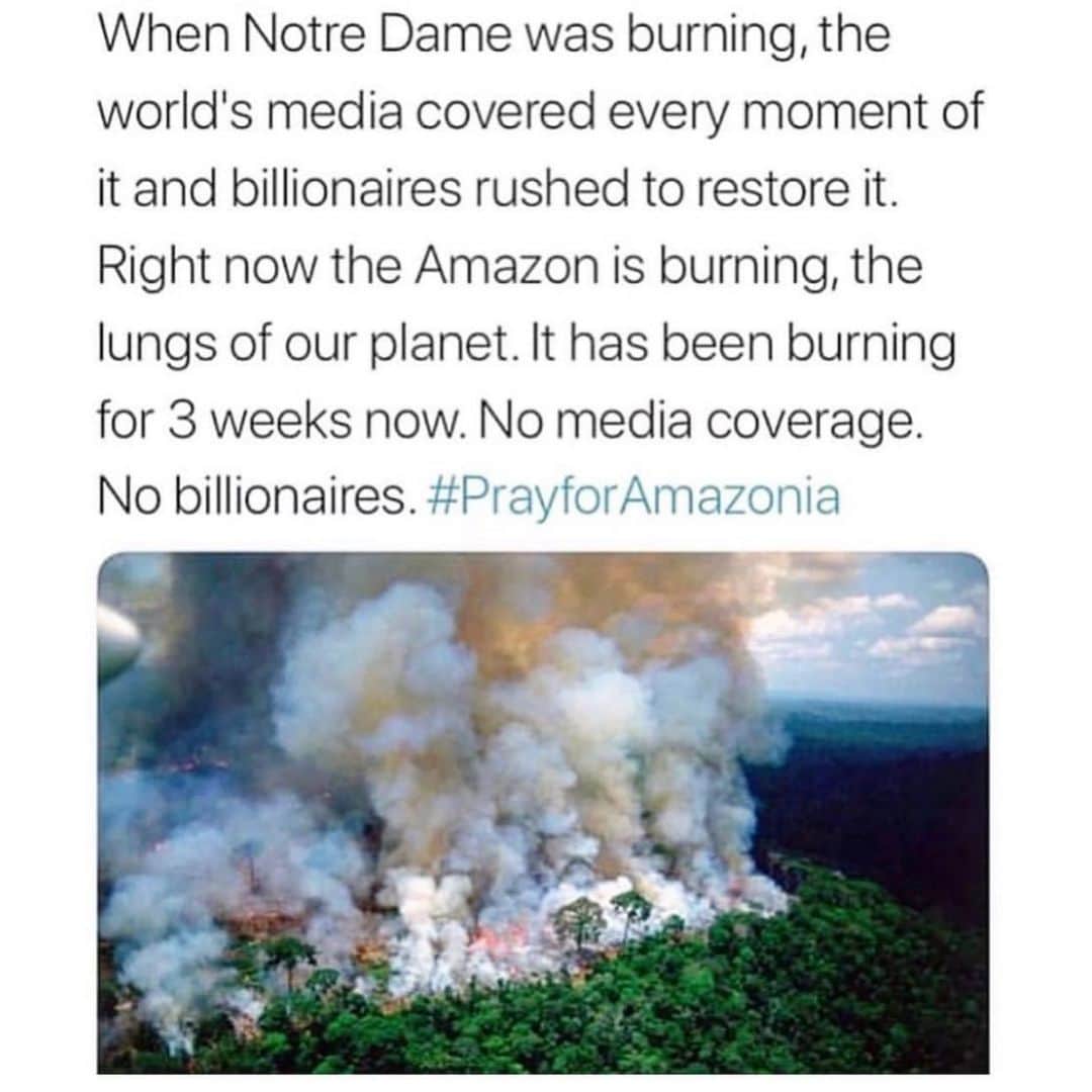 リッキー・マーティンさんのインスタグラム写真 - (リッキー・マーティンInstagram)「Cuando la catedral de Notre Dame estaba ardiendo en llamas, los medios de comunicación del mundo cubrieron cada momento y algunos billorarios se apresuraron a restaurarla.  En este momento la selva amazónica está ardiendo. El pulmón de nuestro planeta lleva tres semanas en llamas.  No hay cobertura mediática y tampoco billonarios.  THIS IS A REAL GLOBAL ISSUE. Where are the real leaders OF THE WORLD joining forces for The #Amazon 🔥#repost: @wilfredorosado」8月22日 6時46分 - ricky_martin
