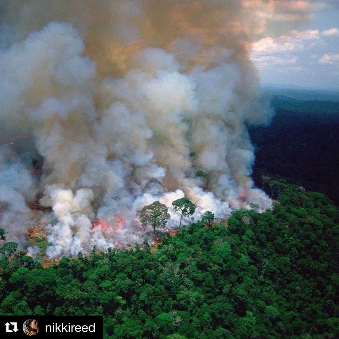 シェイリーン・ウッドリーさんのインスタグラム写真 - (シェイリーン・ウッドリーInstagram)「repost —> Did you know this ecosystem ALONE provides 20% of the oxygen in Earth’s atmosphere? Not only that but it is also one of the great harbors of biodiversity, fresh water and climate resilience. These forests aren’t just vital to the communities that surround them, they’re vital to ALL life on Earth.  That’s why we MUST protect the Amazon and continue to raise awareness globally about what’s happening in Brazil’s rainforests. @conservationorg @nikkireed #PeopleNeedNature」8月22日 6時54分 - shailenewoodley