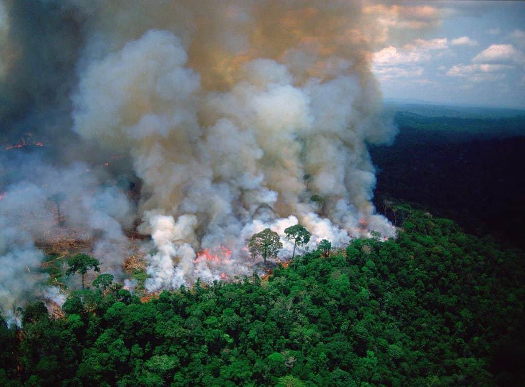 Jena Frumesさんのインスタグラム写真 - (Jena FrumesInstagram)「Don’t pray for Brazil or the Amazon. Pray for yourself . The amazon provides 20% of our oxygen every year and it’s been burning at a record rate right now and for the past 18/19 days. This is a WORLD issue and emergency and effects all of our security. 🌎🔥💔Please post and tag @unitednations #RP @miguel」8月22日 6時58分 - jenafrumes