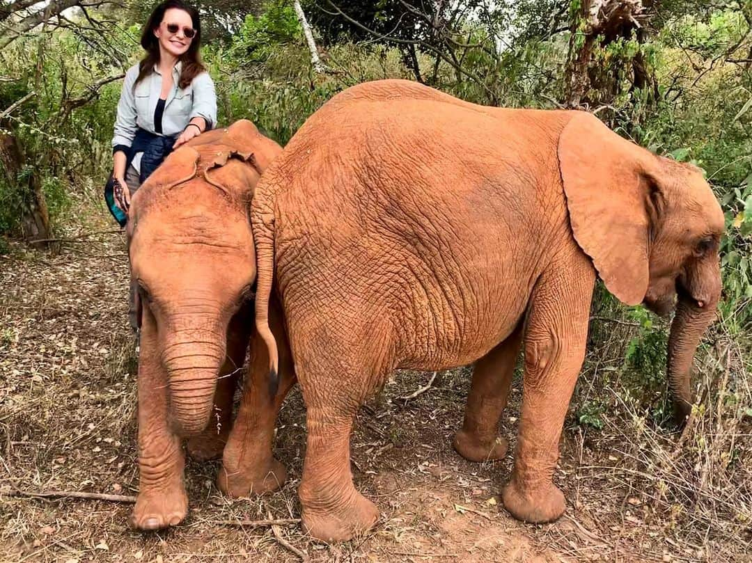 クリスティン・デイヴィスさんのインスタグラム写真 - (クリスティン・デイヴィスInstagram)「I was in Kenya and I had the pleasure of visiting my absolute favorite place - the @sheldricktrust . This is Kiassa and her protege Larro. I love getting to know the new babies and learning new things every visit. Thank you to the entire team, Keepers and staff who put up with me! I have many more pics . Just wanted to start with Kiassa because she has so many people who love and support her, and she was on her very best behavior 😉!!!! ❤️🐘❤️#dswt #worthmorealive #elephants #lovethemsomuch❤️」8月22日 6時58分 - iamkristindavis