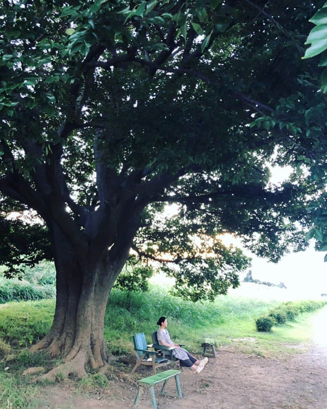 睦さんのインスタグラム写真 - (睦Instagram)「猛暑続きで、 必須用事がなければ 部屋に引きこりがちな 毎日です😓  でも。  18時を過ぎれば、 外に出ても 日差しは少ないし、 涼しく感じるので 散歩する事に。  凍らせた飲み物を持って。  じわじわと、 汗をかきながらも 抜ける景色で ぐんぐん歩けました。  こんなとこに、 ベンチなんて あったっけ？とか 遊歩道とかあったっけ？と 発見もありつつ。  運動不足を、 解消したつもり😅  だって暑すぎて、 ディズニーリゾートに インパできず😵  まだ夏休み中だから、 混んでるでしょうしね。  予定のない日は、 しばらくここで 夕暮れウォーキング ですかねぇ。  #散歩  #夕暮れ  #18時 以降 #shavedice  #歩く  #早歩き  #休憩  #木陰  #この木なんの木  #ざわわ  #ザワワ  #ベンチ  #bench  #誰かの好意  #道  #green  #japanese #緑  #夏  #summer  #遊歩道  #ウオーキング  #walking  #早歩き  #作詞家  #lyricst  #モデル  #model  #井上睦都実 #睦」8月22日 7時20分 - mutsumi1220
