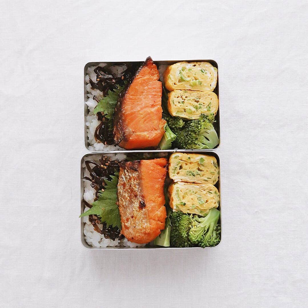 樋口正樹さんのインスタグラム写真 - (樋口正樹Instagram)「Salmon bento . 朝ごはんは家弁当で、 鮭西京焼き、卵焼き、 昆布、ブロッコリー。 . . #朝弁 #家弁 #鮭弁当 #お弁当 #BENTO #salmonbento」8月22日 7時37分 - higuccini